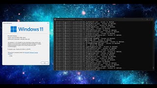 Destroying Windows 11 Build 23466!