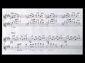 Connections For Two Classical Guitars By Peter Van Den Dop 