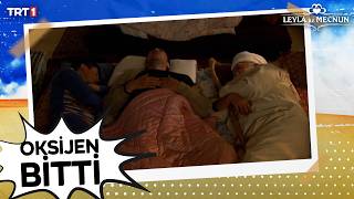 Bütün Evsizler, Mecnunun Evine Sığındı - Leyla Ile Mecnun Özel Sahneler