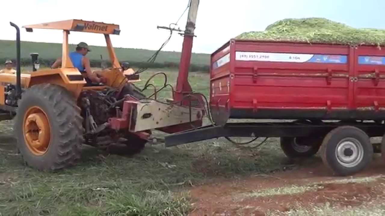 Carreta 6 toneladas Tandem metálica Triton