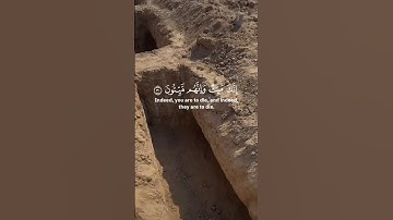 ياسر الدوسري | سورة الزمر