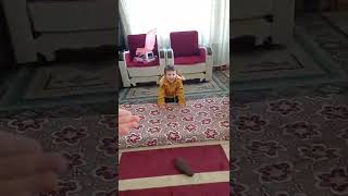 Bakın Bacım Burda Ne Gördüm Dobemanvgehbilli Bilii Resimi