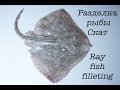 Разделка рыбы скат. Ray fish filleting