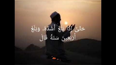 ووصينا الإنسان بوالديه إحسانا من سورة الاحقاف بصوت القارئ محمد صالح العمودي قراءة هادئة لصلاة الفجر