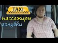 #голуби Hot stories in a TAXI 2