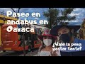 OAXACA - PASEO EN LA CIUDAD DE #OAXACA EN ANDABUS EN SOLO UN DÍA | TOUR EN LA CAPITAL OAXAQUEÑA 🦗