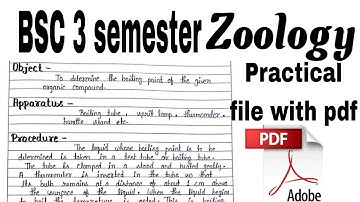 Bsc 3 semester Zoology practical file with pdf download