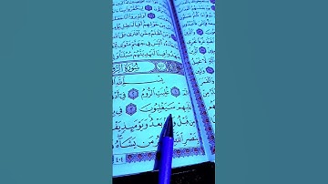 سورة الروم "غلبت الروم "#ياسر_الدوسري
