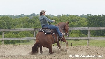 Gimme Checks - LEAD Changes, huge stops! - ValleyViewRanch.net