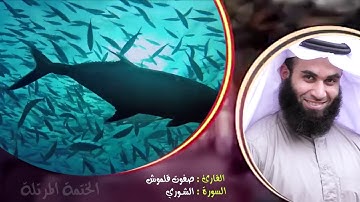 سورة الشوري | الختمة المرتلة | القارئ صفوت قلموش .HD