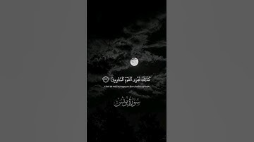 سورة يونس | القارئ ياسر الدوسري #قرآن