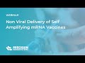 Non Viral Delivery of self amplifying mRNA Vaccines March 31 Webinar