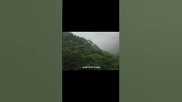 وَلَسَوْفَ يُعْطِيكَ رَبُّكَ فَتَرْضَى #القرآن_الكريم #تلاوة #خشوع #طمأنينة #المصحف #تلاوة #آية
