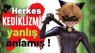Teori̇ Herkes Kedi̇kli̇zmi̇ Yanliş Anlamiş - Muci̇ze Uğur Böceği̇ Ve Kara Kedi̇ -