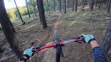 Capital Kamikaze Practice - Majura Pines