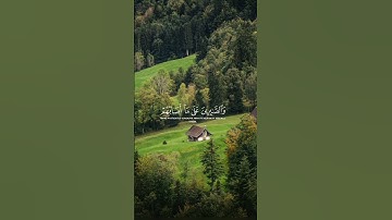قرآن كريم راحه نفسيه بصوت الشيخ ماهر المعيقلي. #quran #trending #راحة_نفسية #قرآن #fypシ #viral