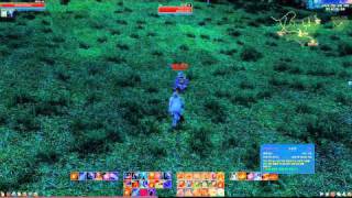 ArcheAge CBT4 Magic skills 1-50