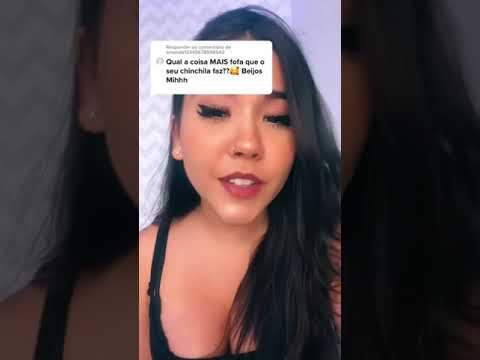A COISA MAIS FOFA QUE MEU CHINCHILA FAZ!!!!