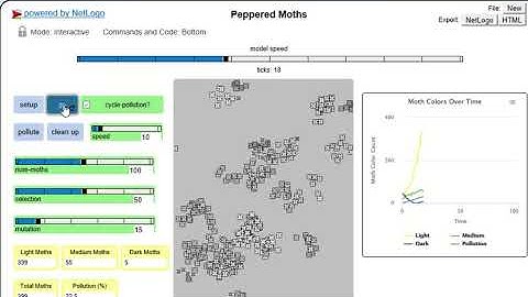 Peppered moth netlogo