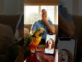 Parrot Exposed the Secret Of Dad😂😂😂