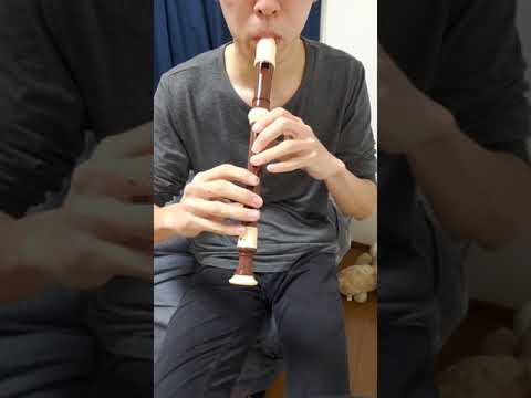 白日 試し吹き リコーダー  説明見て