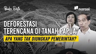 Yang Tidak Dikatakan Jokowi soal Deforestasi Terencana di Tanah Papua | Buka Data