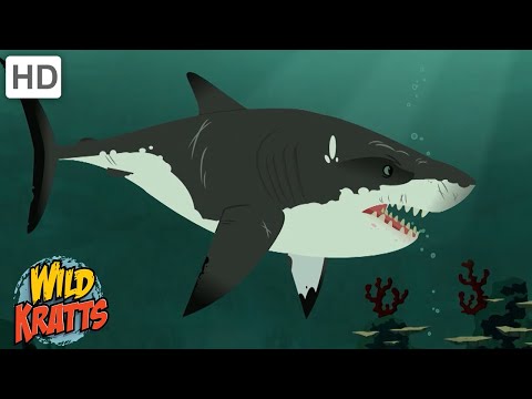 Water Creatures | Sharks, Crocodiles, Dolphins + more! [Full Episodes] Wild Kratts