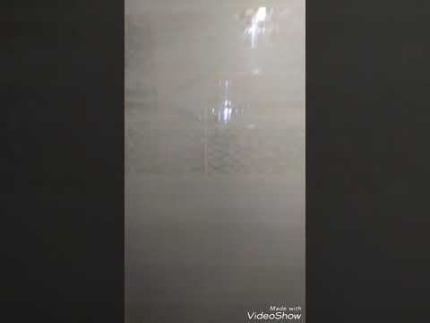 Керамическая плитка Элиз Белани