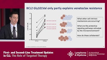 Venetoclax Resistance: Mechanisms and Treatment Options