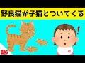 なつかない野良猫が生まれたての子猫をくわえて見せに来てくれた結果www