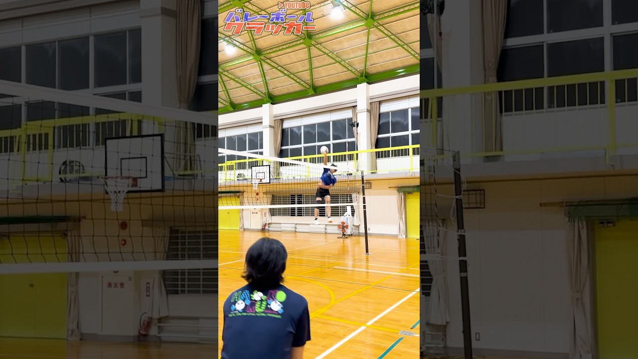 【低身長なら飛べ】レシーバー視点！！#volleyball #バレーボール #haikyuuxyn