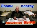 Зимой ловим плотву на крашенное вымя !