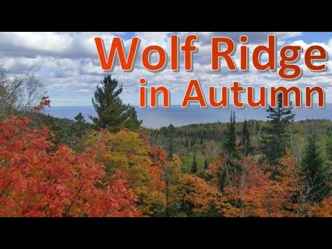 Wolf Ridge ELC in Autumn