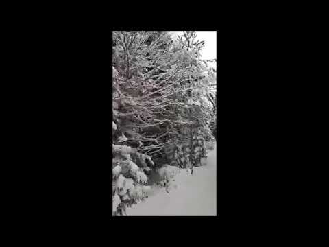 ,,ცოდნა\"  ბაკურიანში