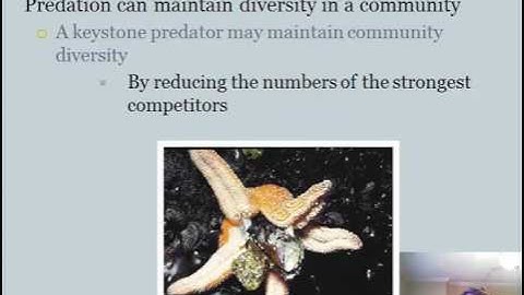 Communities and Ecosystems