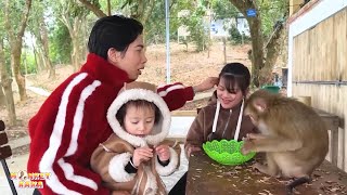 Download Lagu How happy was Monkey Kaka to be reunited with his beloved family? MP3