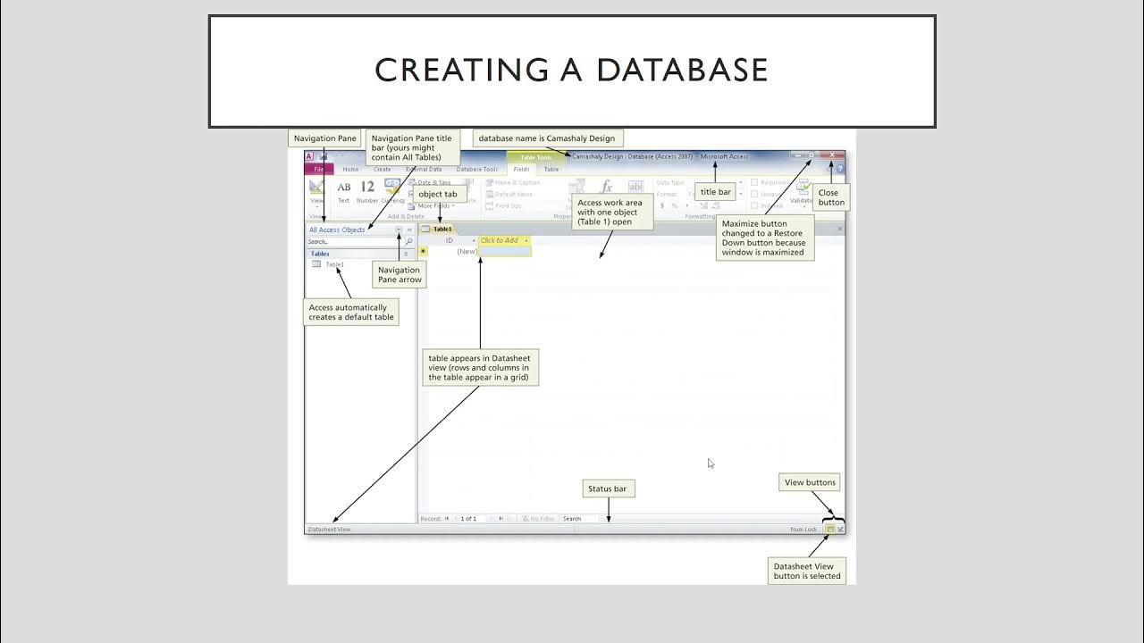 Databases and Database Objects - YouTube