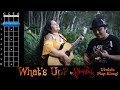 "What's Up?" (4 Non Blondes) Ukulele Play Along!