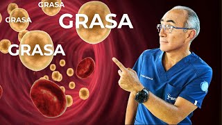 Grasa Corporal Peligrosa: Localizaciones y Riesgos para la Salud