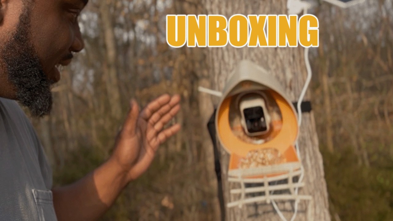 Обзор кормушки для птиц Peckperk | Стоит ли она своих денег для приусадебного участка?