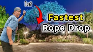 Tips and Tricks on how to Rope Drop into Disney’s Animal Kingdom 2025!