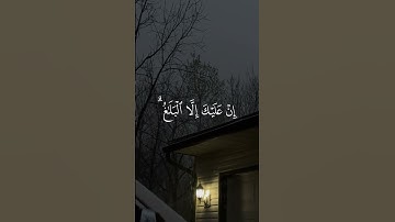 سورة الشورى [47-48]