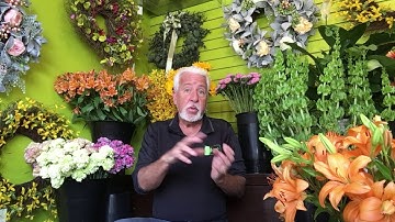 The Elements of Design Lesson #7  SIZE