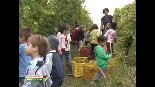 Emilia - Romagna Agricoltura, puntata 7, Focus: Fattorie didattiche: una forma di multifunzionalità