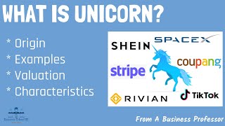 What is Unicorn? | From A Business Professor Profile