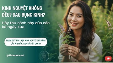 Kinh Nguyệt Không Đều? Kinh Nghiệm Dùng Cây Ích Mẫu Tại Nhà Của Mình