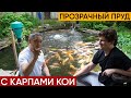 Интервью с Георгием с канала "Raritetplants". Разговариваем о карпах кои, о пруде, о фильтрации.