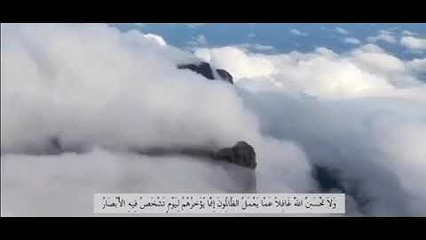 آيات من سورة إبراهيم بصوت: بسام الواكد