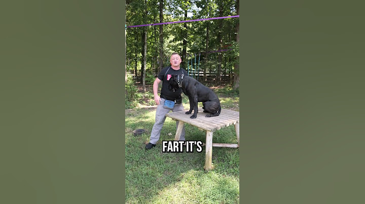 How To Lift A 100LB DOG - THE RIGHT WAY