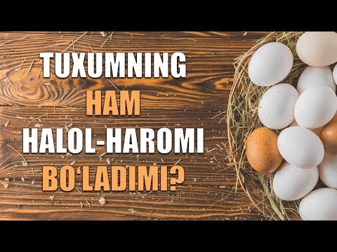 Video: Menga Tovuq Tuxumini Yuvish Kerakmi?